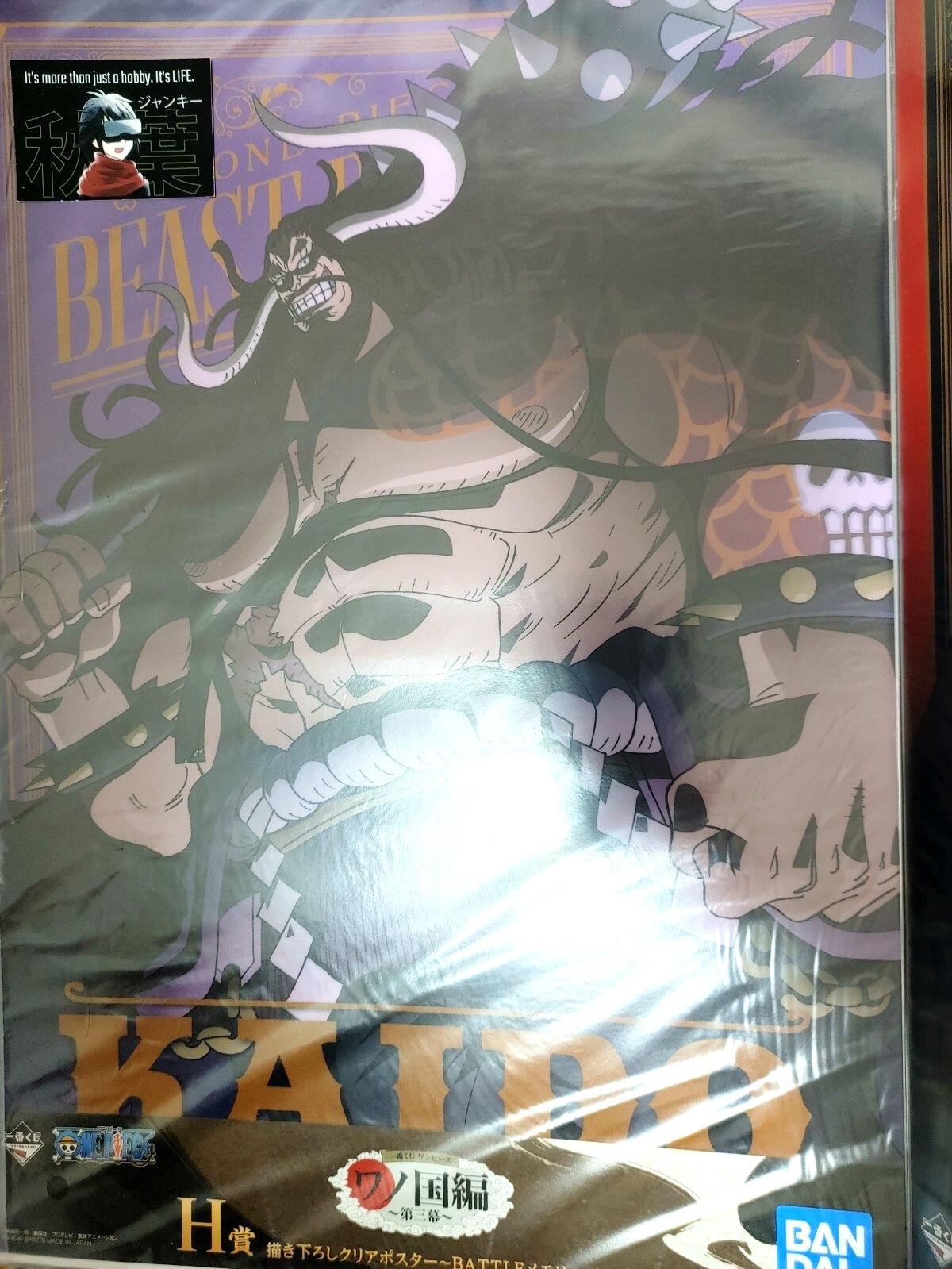 One Piece Anime Collectible Visual Poster Board Kaido C JAPAN
