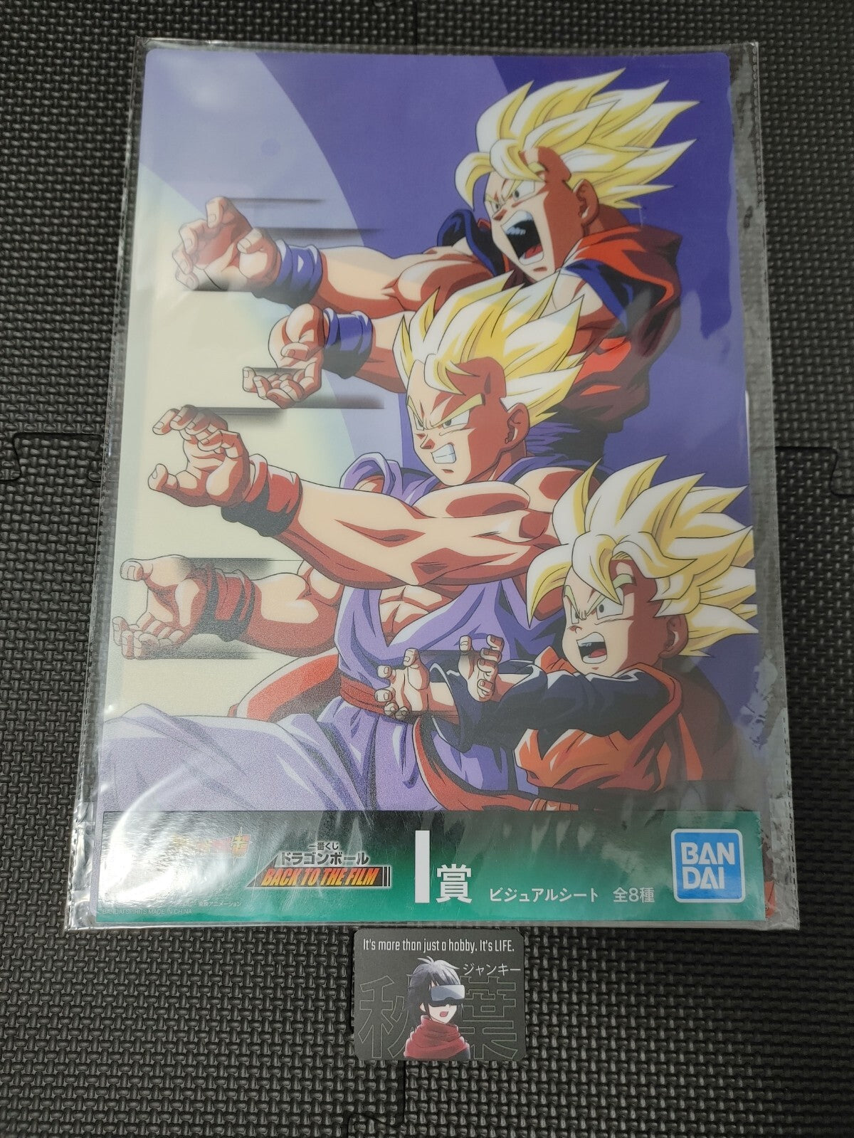 Dragon ball Z Goku Gohan Goten Kame Animation Design Visual Board Poster Japan L