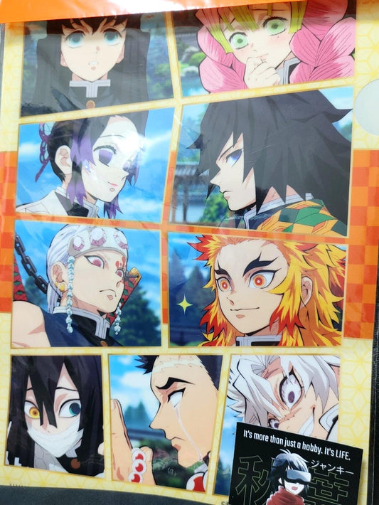 Demon Slayer Mitsuri Kanroji Hashira Animation Design File Japan Limited