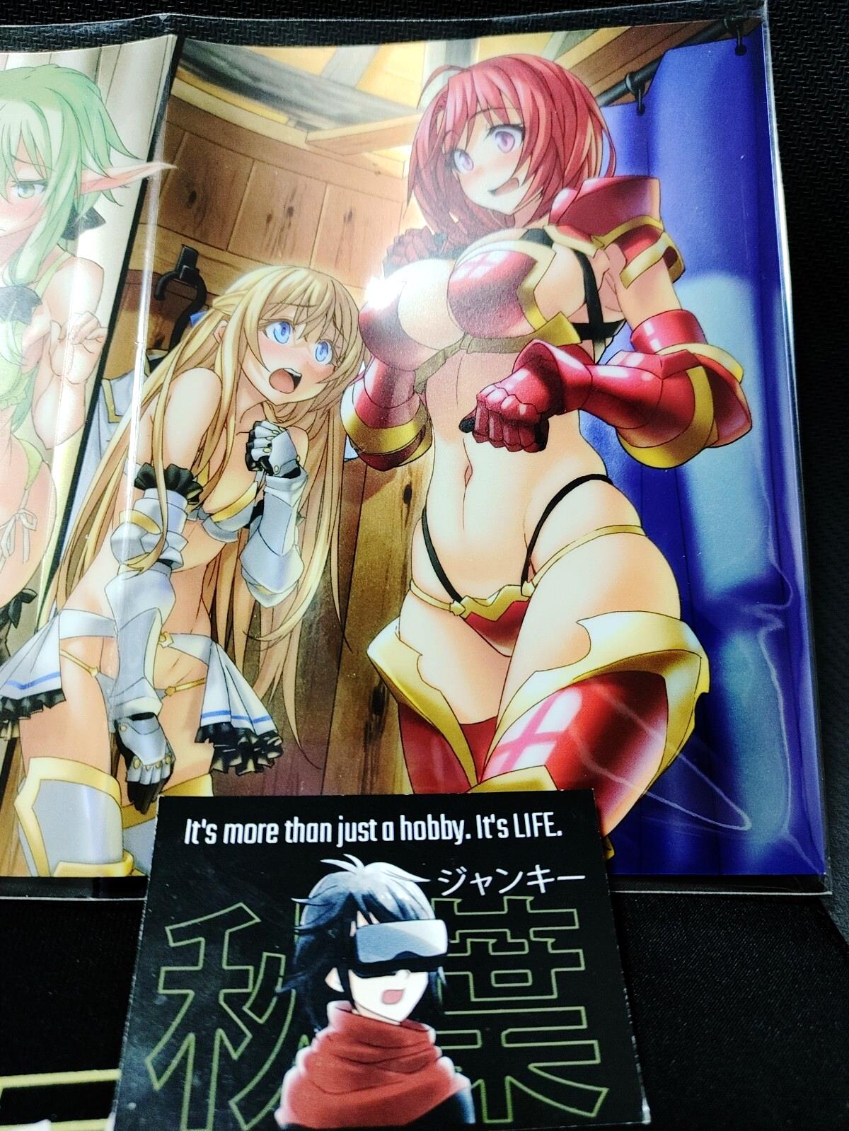 Goblin Slayer Cow Girl High Elf Priestess Guild Girl Bikini Armor Promo Cover JP