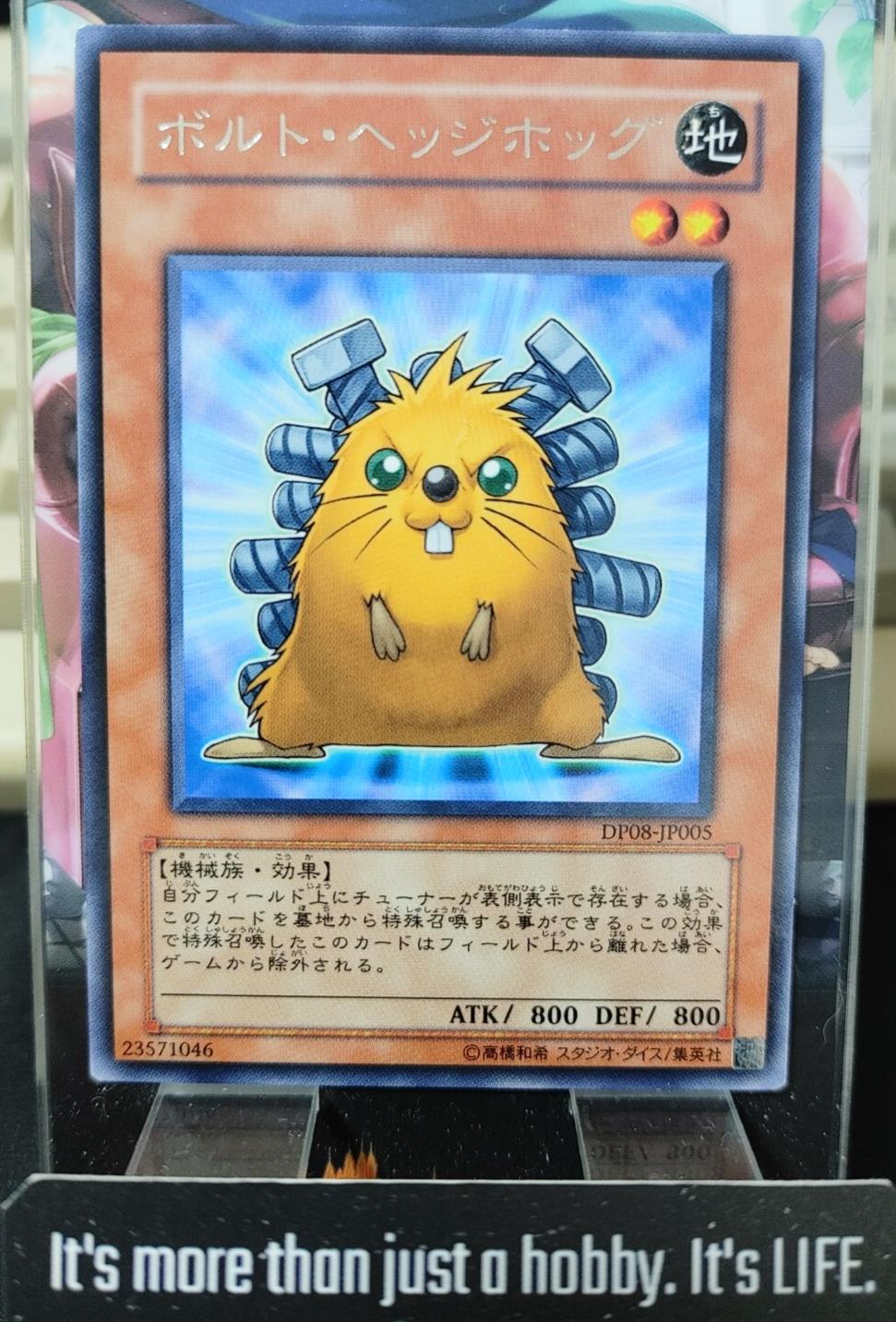Quillbolt Hedgehog Yugioh DP08-JP005  Rare Yu-Gi-Oh Konami OCG JAPAN