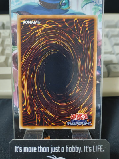 Quillbolt Hedgehog Yugioh DP08-JP005  Rare Yu-Gi-Oh Konami OCG JAPAN