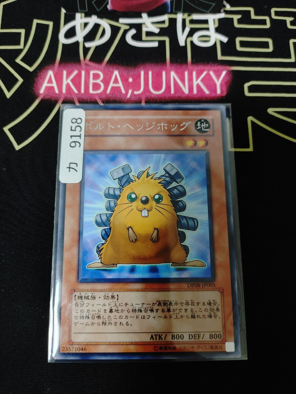 Quillbolt Hedgehog Yugioh DP08-JP005  Rare Yu-Gi-Oh Konami OCG JAPAN