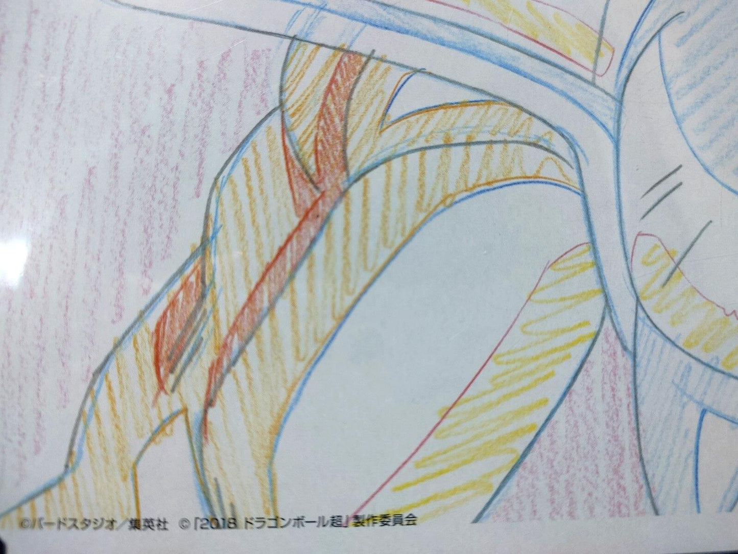 Dragon ball Cel Print Broly B Super Saiyan Animation JAPAN Anime Limited