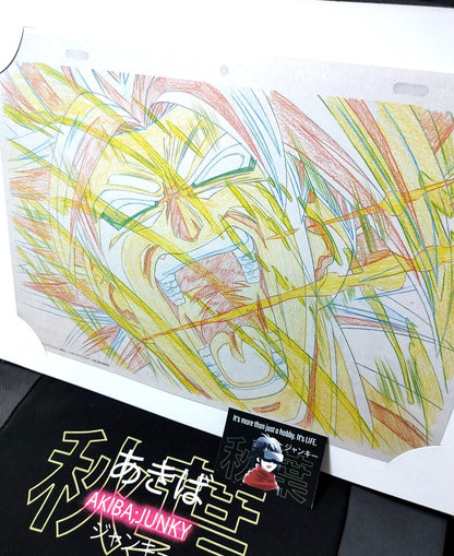 Anime Dragon ball Animation Cel Print 2 sheet Broly Charge B JAPAN Limited