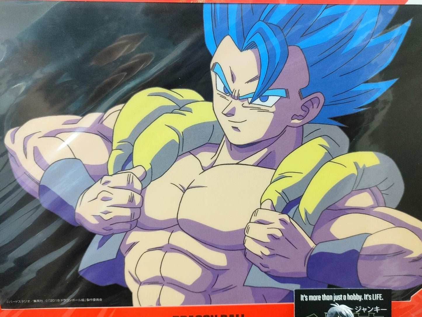 Dragon ball Cel Print Gogeta God 2 sheet Anime JAPAN Animation Limited