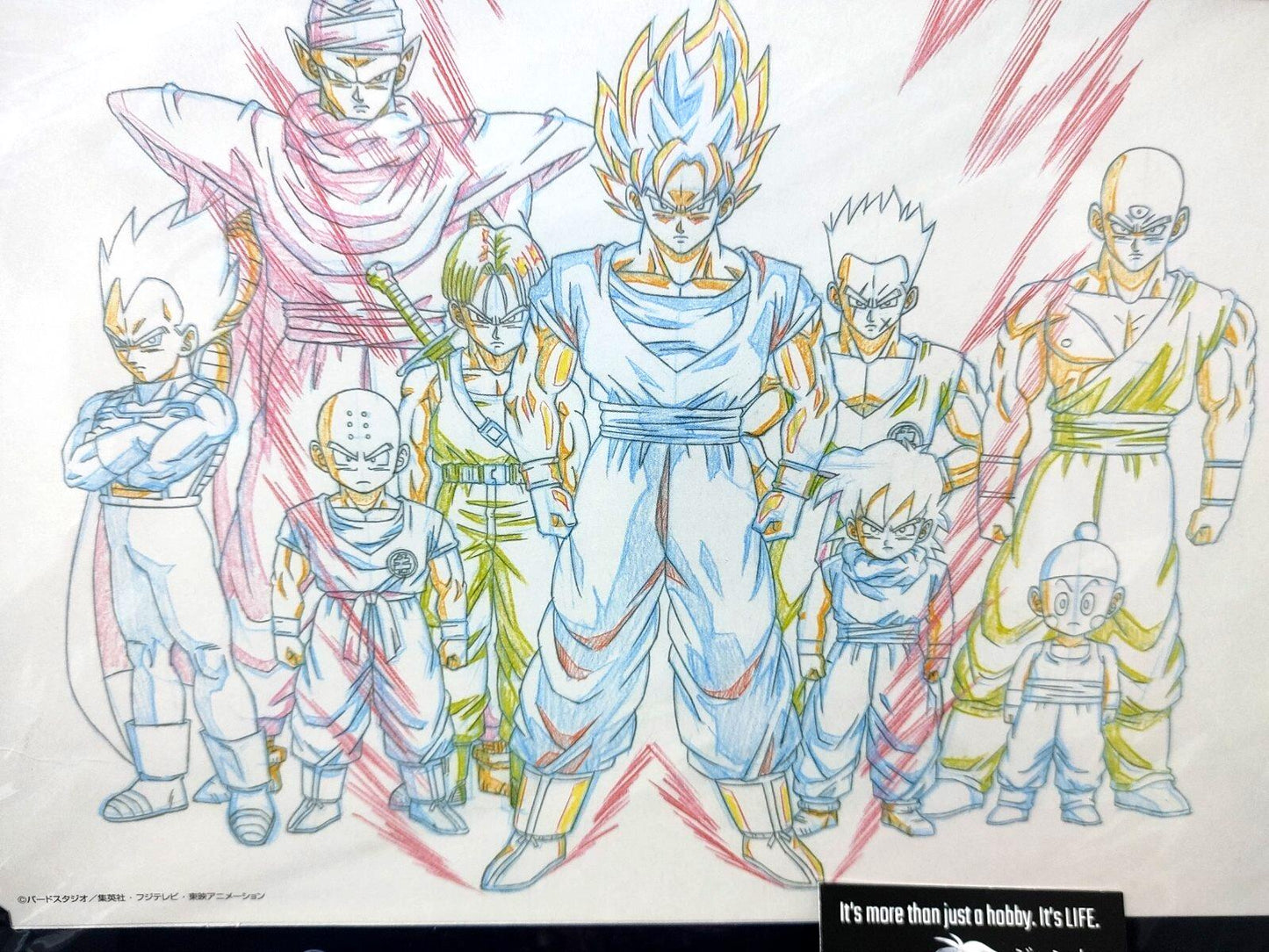 Dragon ball Cel Print Goku Gohan Vegeta Z Fighters Anime B Animation JAPAN
