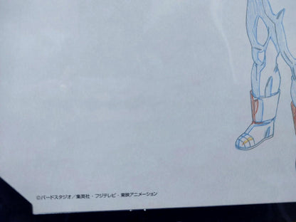 Dragon Ball Cel Print Goku Vegeta Anime JAPAN B Animation Limited