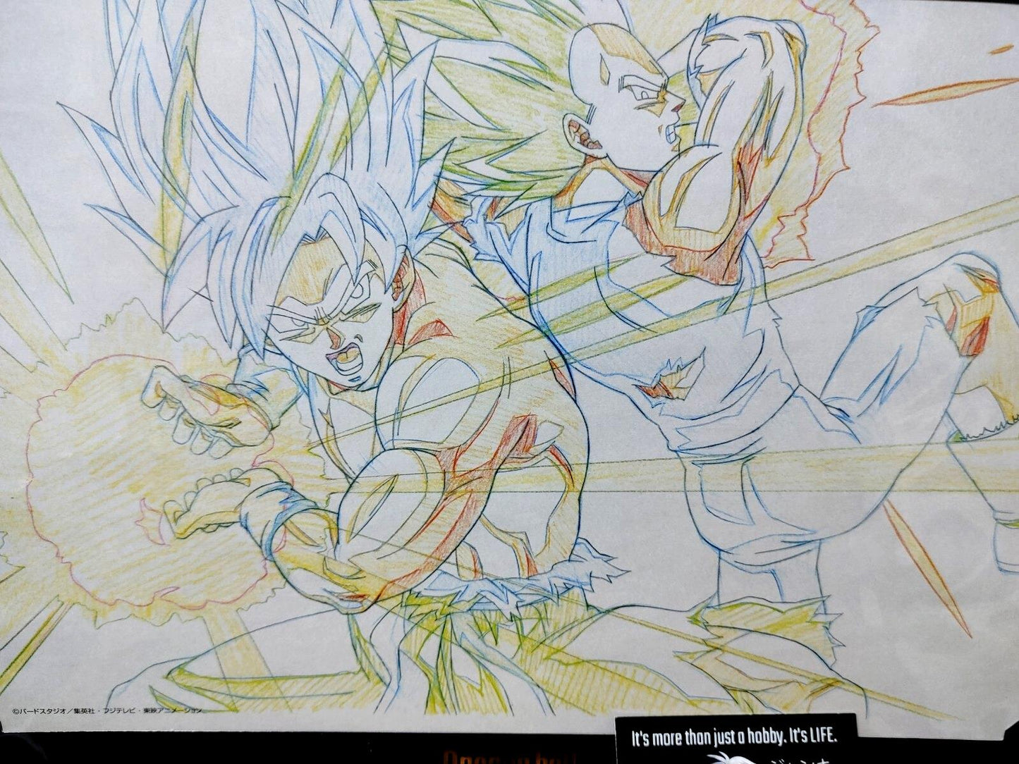 Dragon ball Cel Print Goku Vegeta Kamehameha Anime B Animation JAPAN