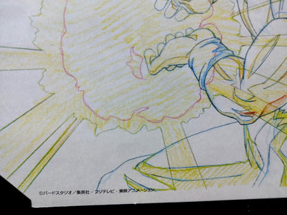 Dragon ball Cel Print Goku Vegeta Kamehameha Anime B Animation JAPAN