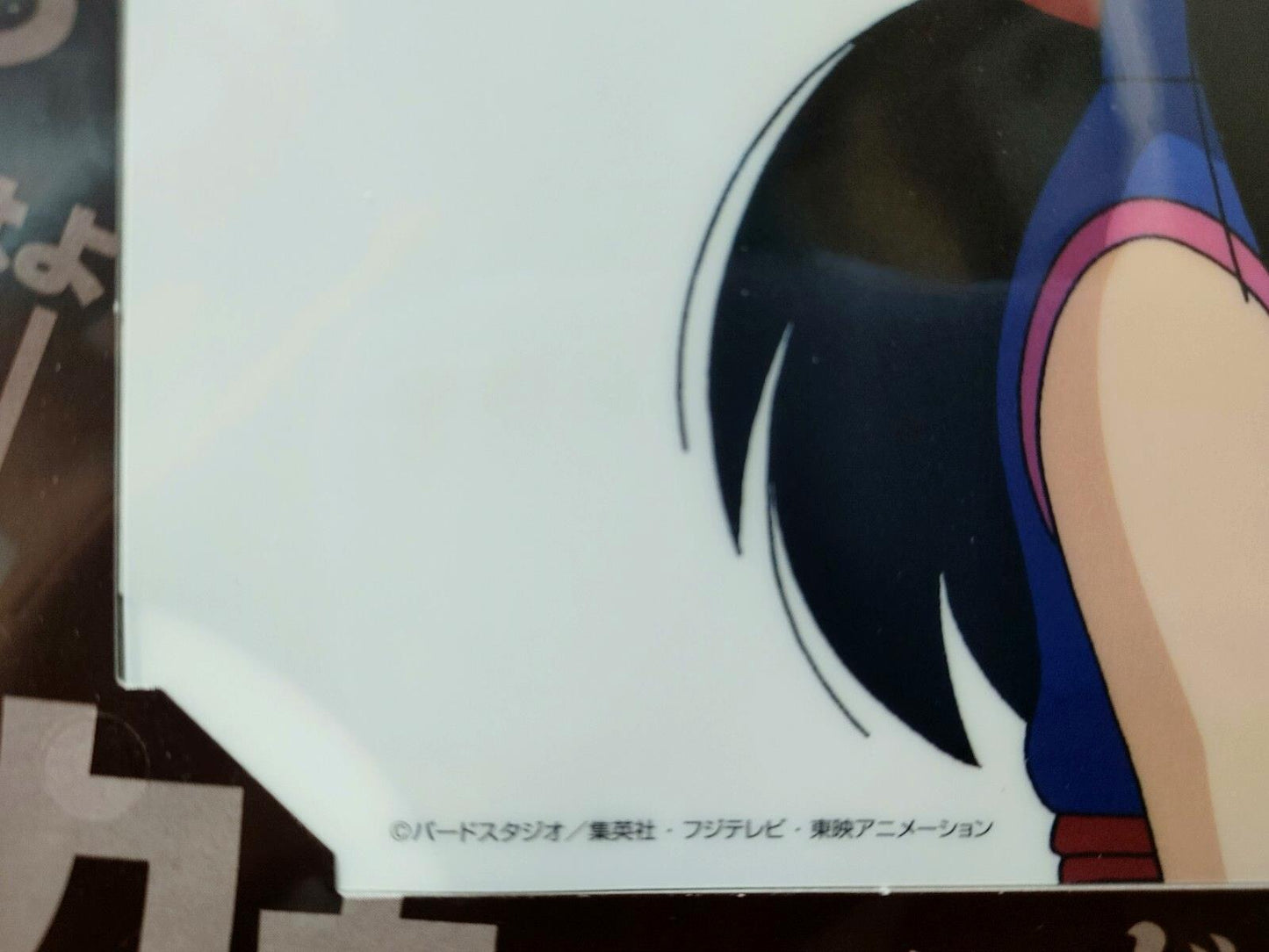 Dragon ball Cel Print 2 Sheets Chi Chi Goku Anime JAPAN Animation B Limited