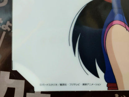 Dragon ball Cel Print 2 Sheets Chi Chi Goku Anime JAPAN Animation B Limited