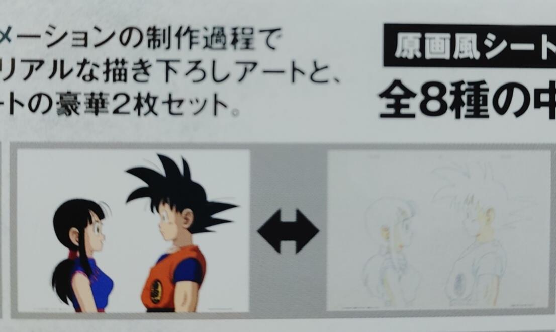 Dragon ball Cel Print 2 Sheets Chi Chi Goku Anime JAPAN Animation B Limited