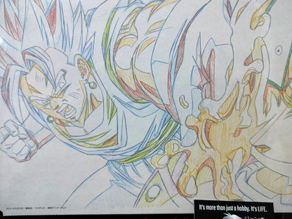 Dragon ball Cel Print Vegito Zamasu Punch Anime B Animation JAPAN