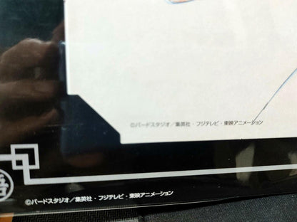 Dragon ball Cel Print Vegito Zamasu Punch Anime B Animation JAPAN