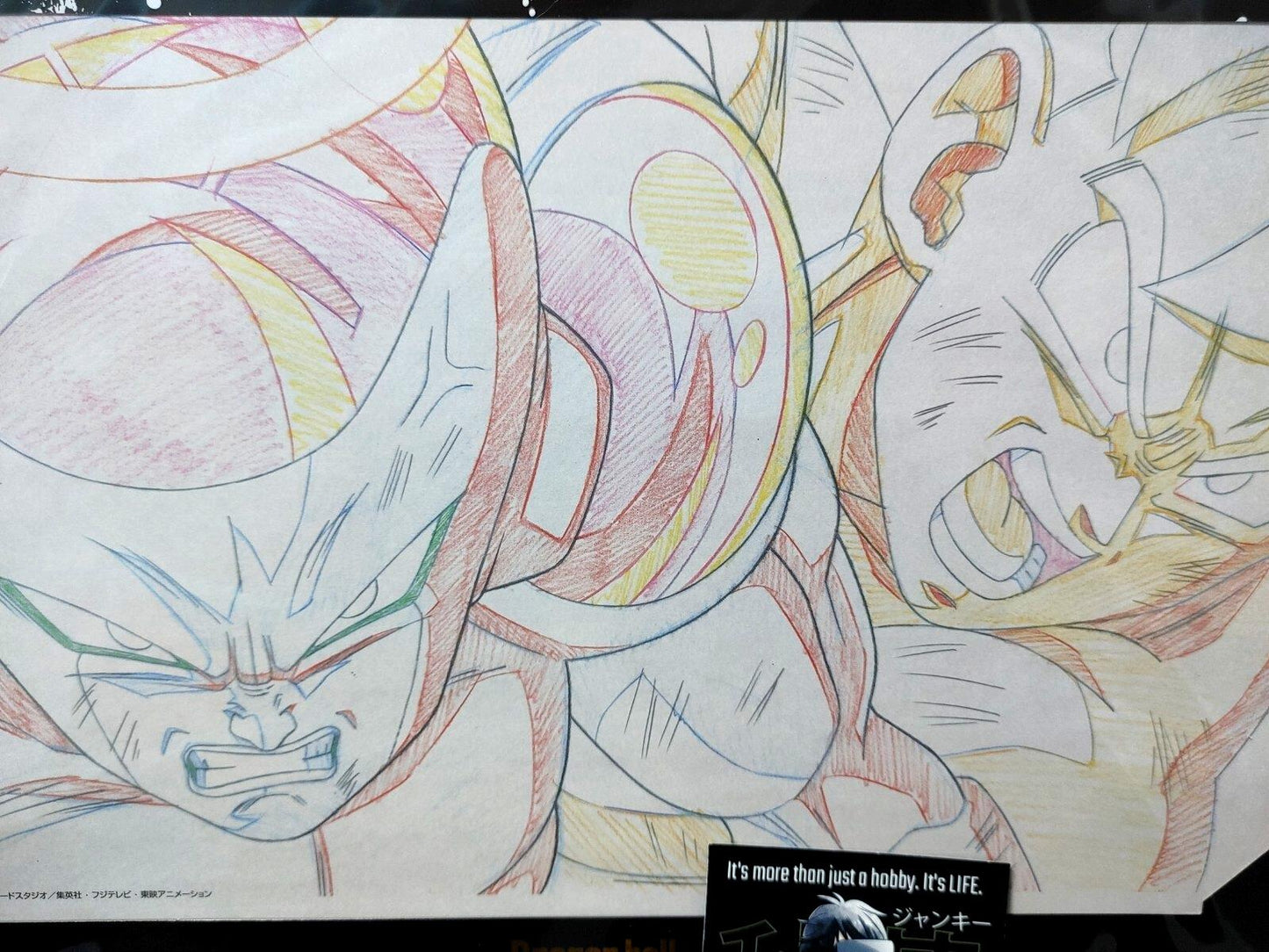 Dragon ball Cel Print Goku Frieza Anime B Animation JAPAN