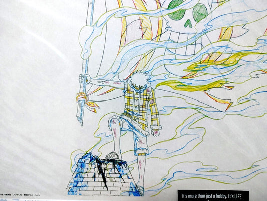 One Piece Cel Print Luffy Crew Flag Anime B Animation JAPAN