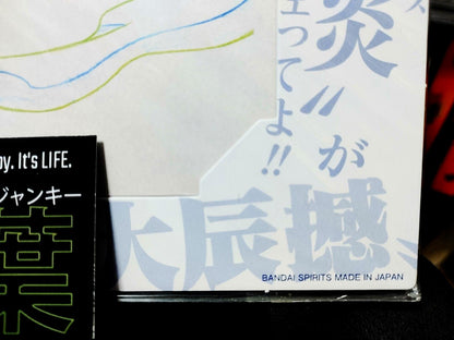 One Piece Cel Print Luffy Crew Flag Anime B Animation JAPAN