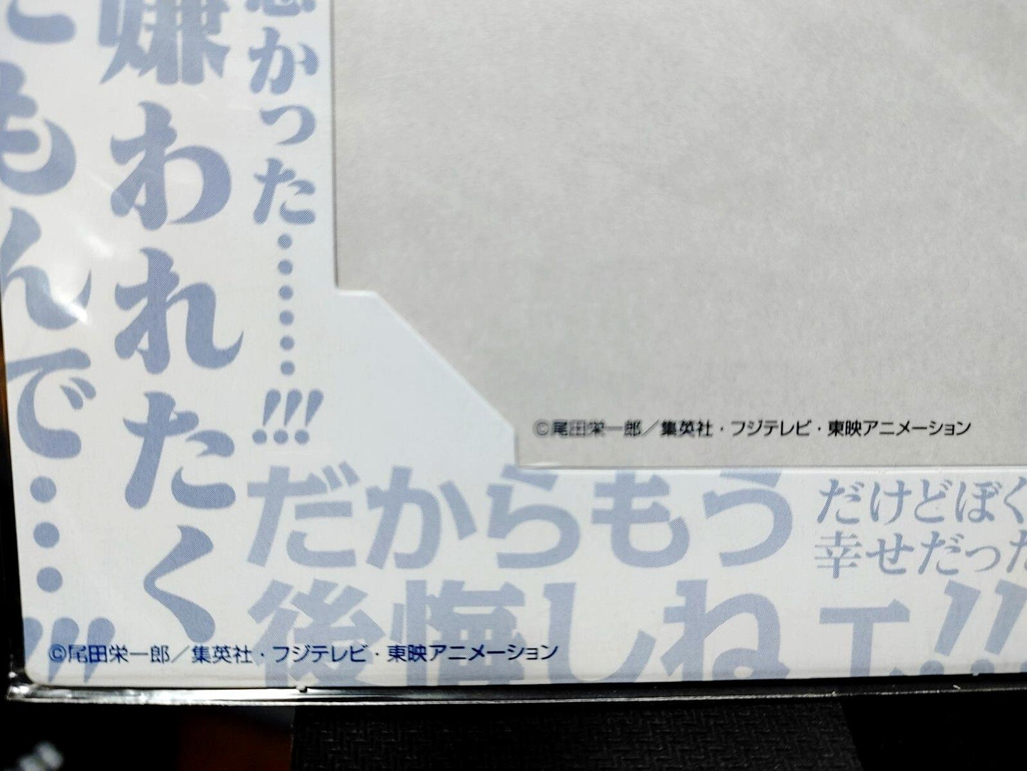 One Piece Cel Print Luffy Crew Flag Anime B Animation JAPAN