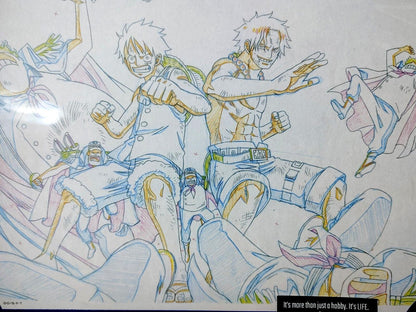 One Piece Cel Print Luffy Ace  Anime B Animation JAPAN