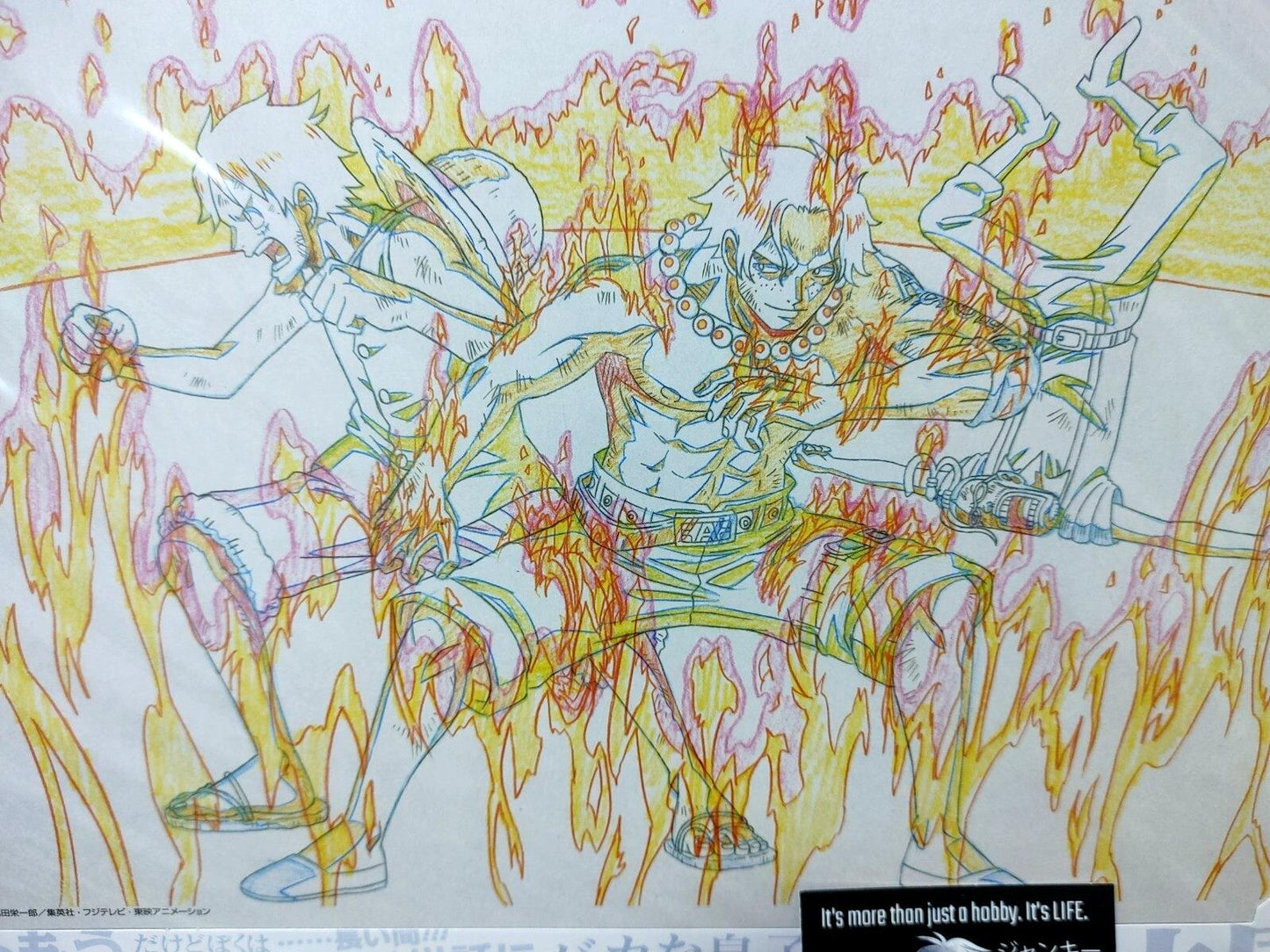 One Piece Cel Print Luffy Ace Anime C Animation JAPAN