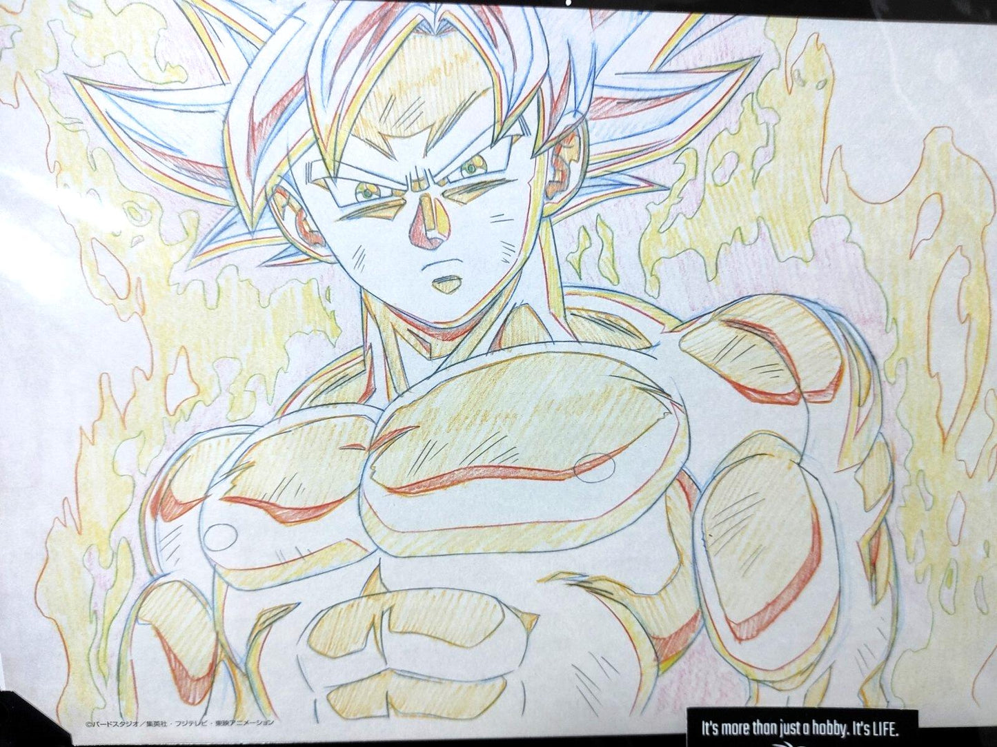 Dragon Ball Cel Print Goku Super Saiyan Anime JAPAN B Animation Limited