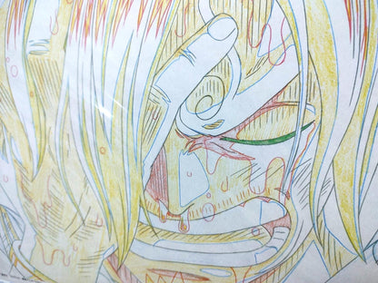 One Piece Cel Print Sanji Anime B Animation JAPAN