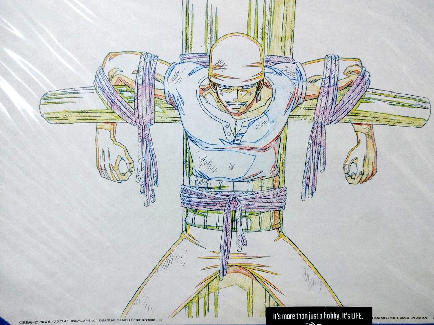 One Piece Cel Print Zoro Anime B Animation JAPAN