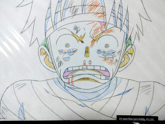 One Piece Cel Print Luffy Tears Anime B Animation JAPAN