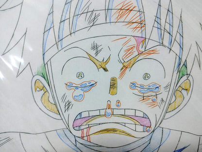 One Piece Cel Print Luffy Tears Anime B Animation JAPAN