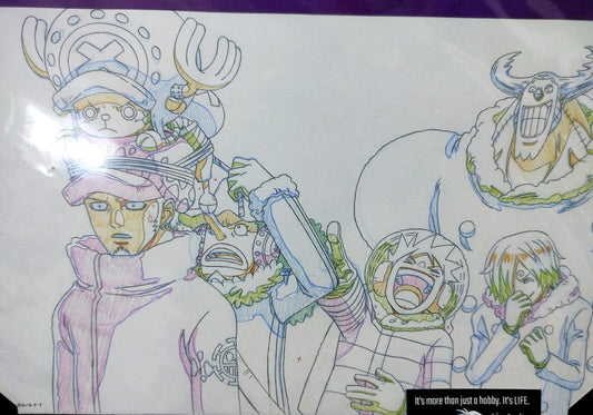 Anime One Piece Animation Cel Print Design All Star M Crew C Japan Limited