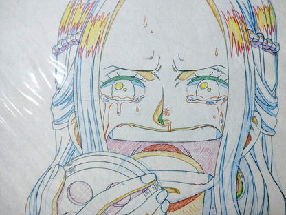 One Piece Cel Print Vivi Tears Anime A Animation JAPAN