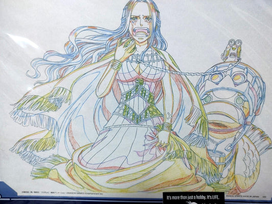 One Piece Cel Print Vivi Tears Karoo Anime B Animation JAPAN