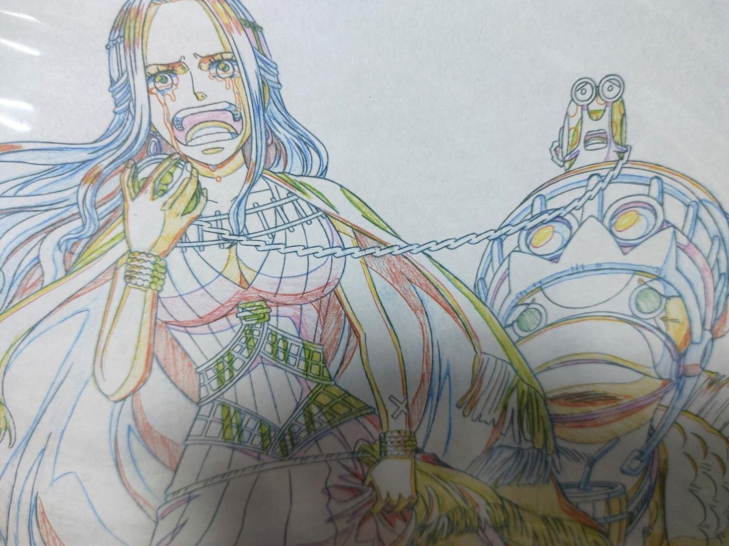 One Piece Cel Print Vivi Tears Karoo Anime B Animation JAPAN