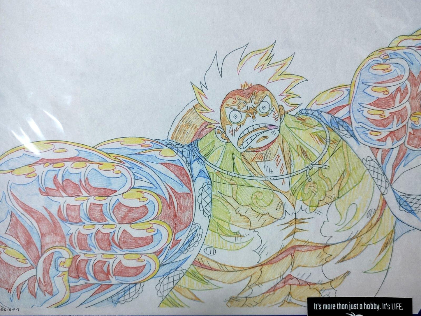 One Piece Cel Print Luffy Anime C Animation JAPAN