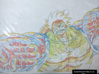 One Piece Cel Print Luffy Anime C Animation JAPAN