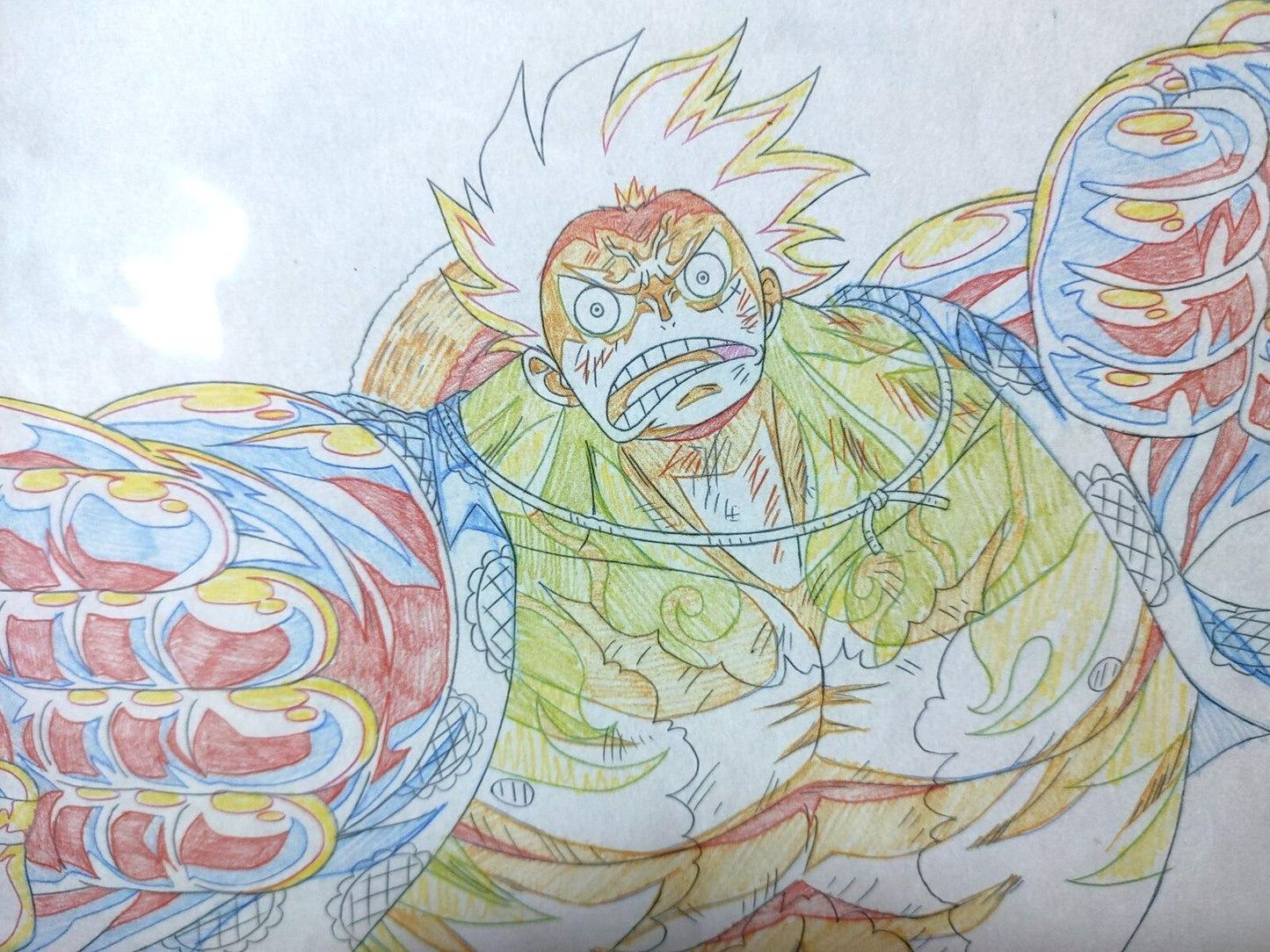 One Piece Cel Print Luffy Anime C Animation JAPAN