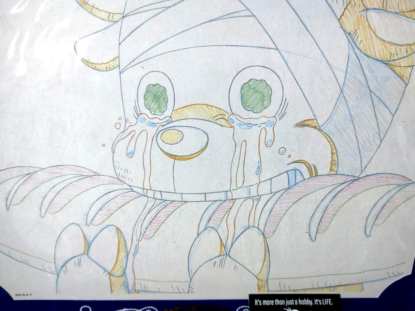 One Piece Cel Print Chopper Tears Anime B Animation JAPAN