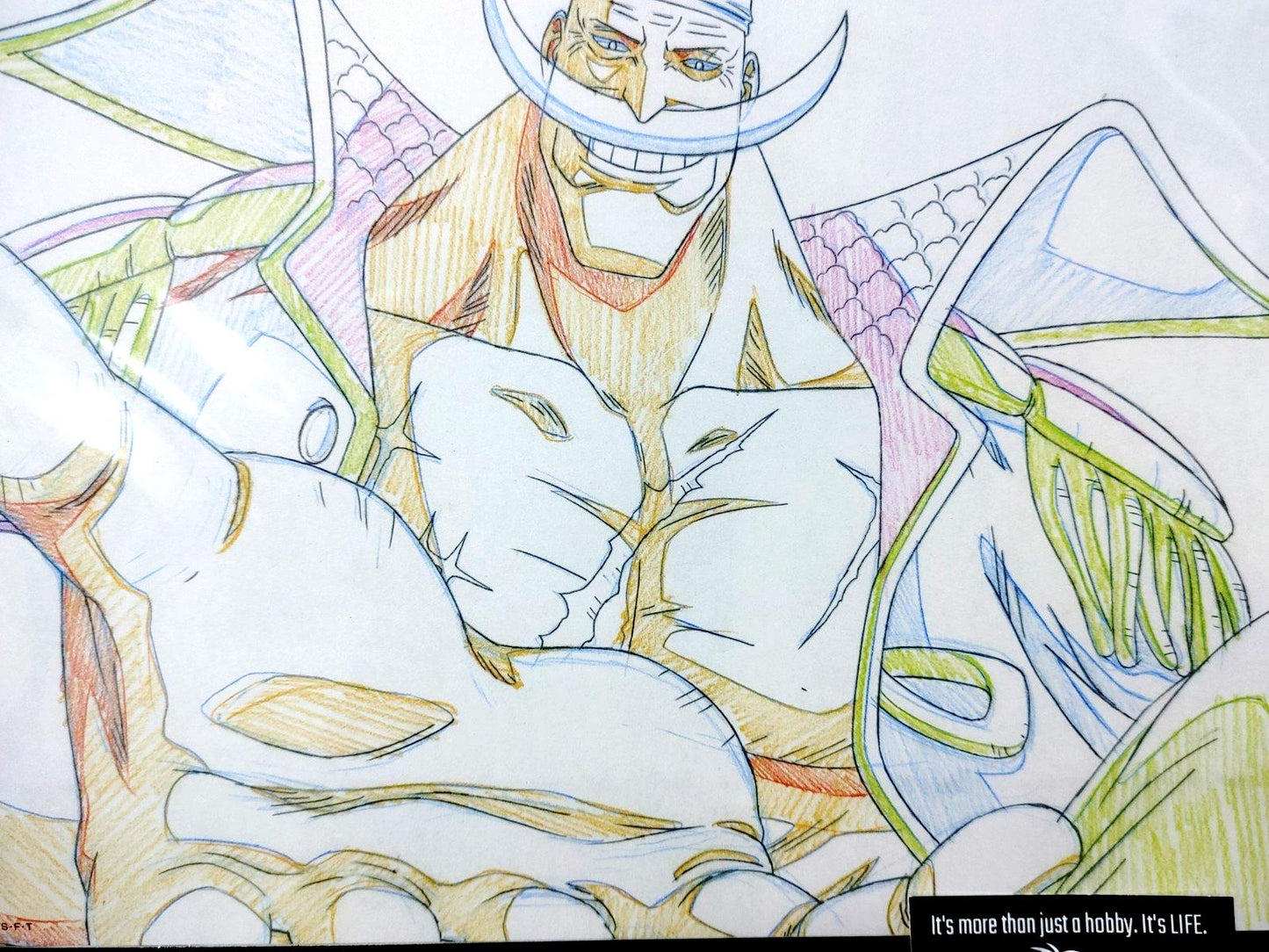 One Piece Cel Print Edward Newgate Anime B Animation JAPAN