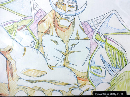 One Piece Cel Print Edward Newgate Anime B Animation JAPAN