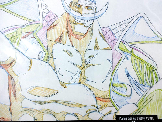 One Piece Cel Print Edward Newgate Anime B Animation JAPAN