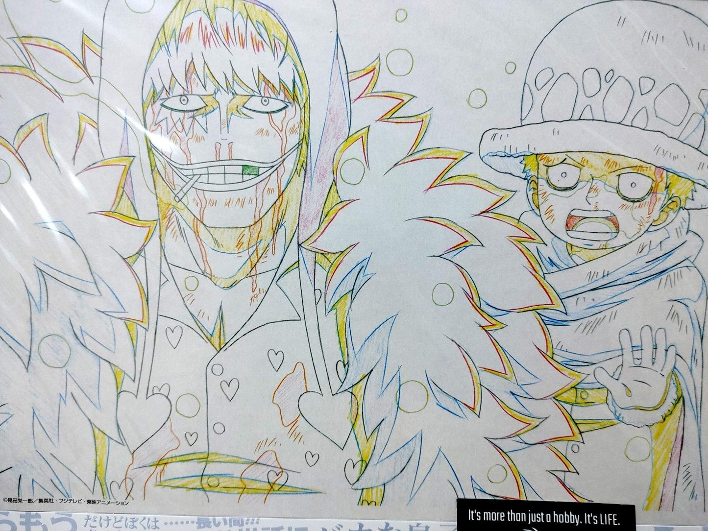 One Piece Cel Print Corazon Anime B Animation JAPAN