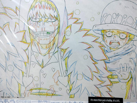 One Piece Cel Print Corazon Anime B Animation JAPAN