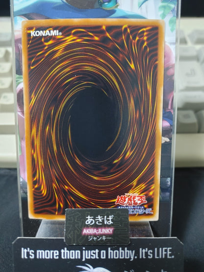 Dark Magician of Chaos Yugioh 307-010 Ultra Rare Yu-Gi-Oh Konami OCG JAPAN