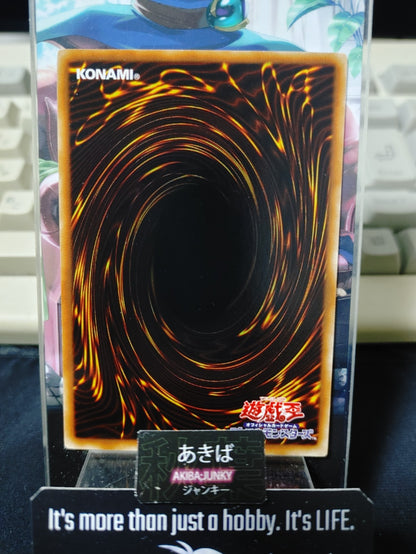Black Salvo Yugioh DT10-JP013 Yu-Gi-Oh Konami OCG JAPAN