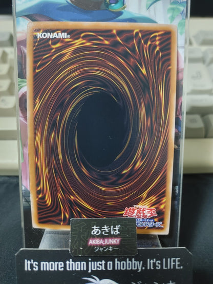 Dark Magician Girl Yugioh QCCU-JP002 Ultimate Rare Yu-Gi-Oh Konami OCG JAPAN