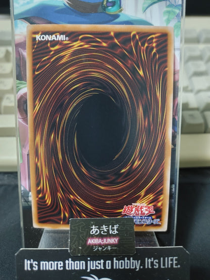 Dark Magician QCDB-JP007 Yu-Gi-Oh Secret Rare Yugioh OCG JAPAN