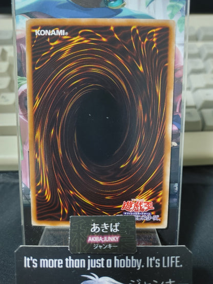 Straight Flush Yugioh DT03-JP044 Holo Yu-Gi-Oh Konami OCG JAPAN