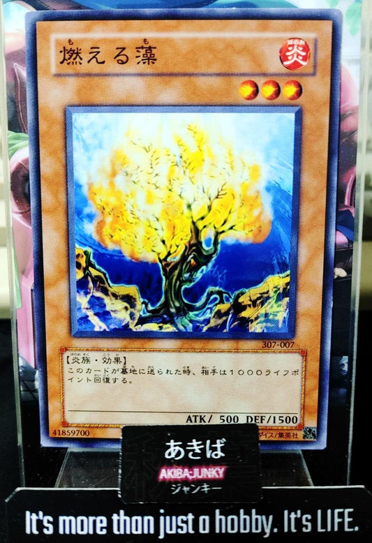Burning Algae Yugioh 307-007 Yu-Gi-Oh Konami OCG JAPAN