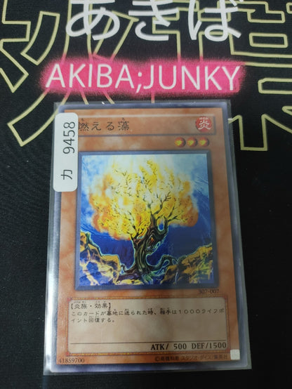 Burning Algae Yugioh 307-007 Yu-Gi-Oh Konami OCG JAPAN